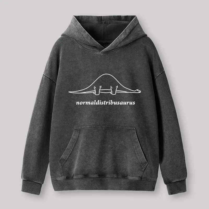 Normal Distribution Dinosaur Washed Hoodie