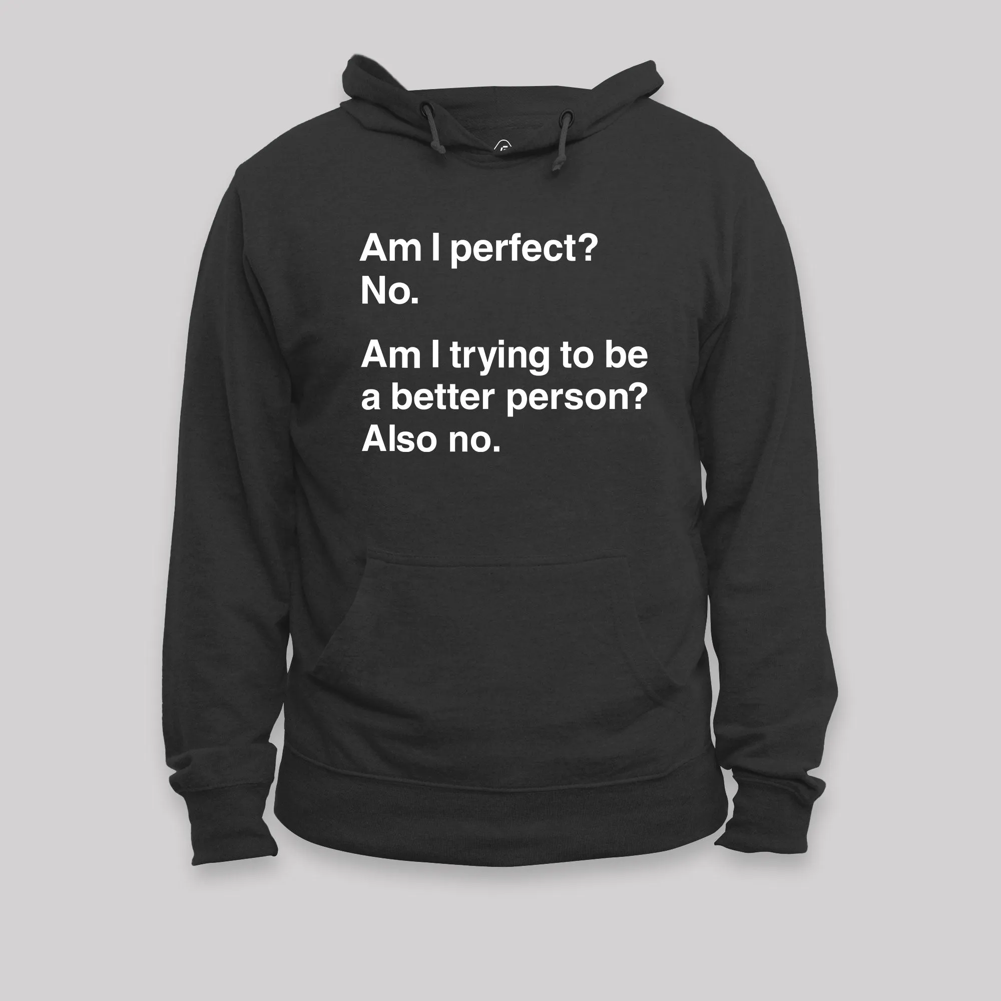 Alternative view of Am I Perfect No Geek Hoodie