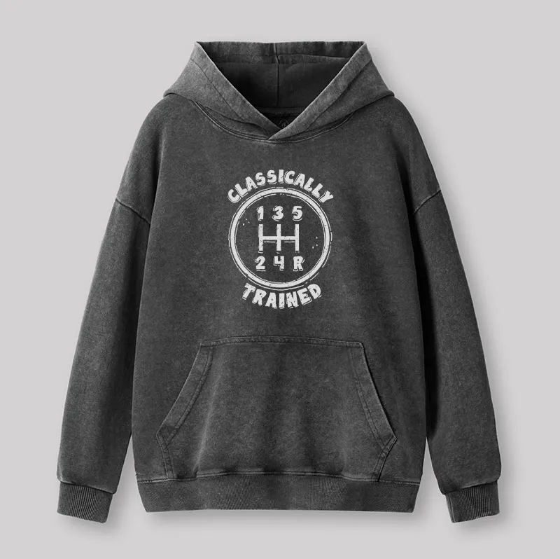 Alternative view of Classically Trained Washed Hoodie