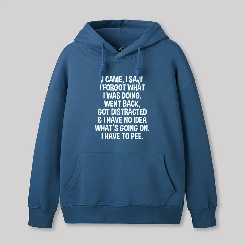 Alternative view of I Came I Saw I Forgot What I Was Doing Geek Hoodie