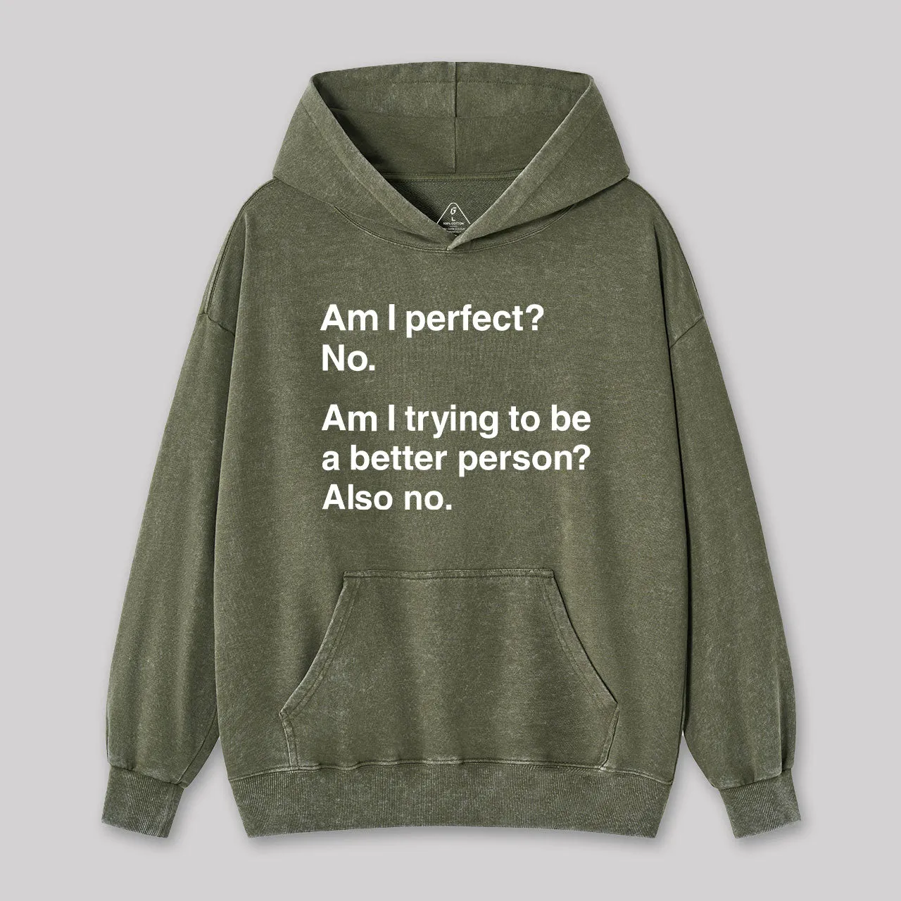 Alternative view of Am I Perfect No Geek Washed Hoodie