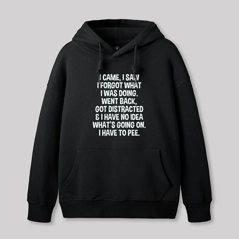 I Came I Saw I Forgot What I Was Doing Geek Hoodie