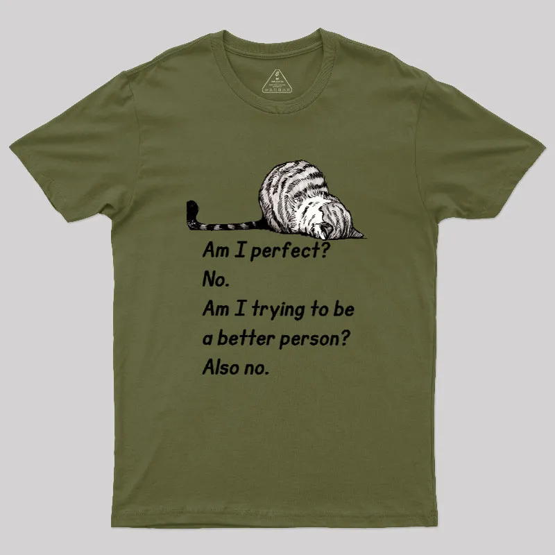 Am I Perfect No Geek T-Shirt