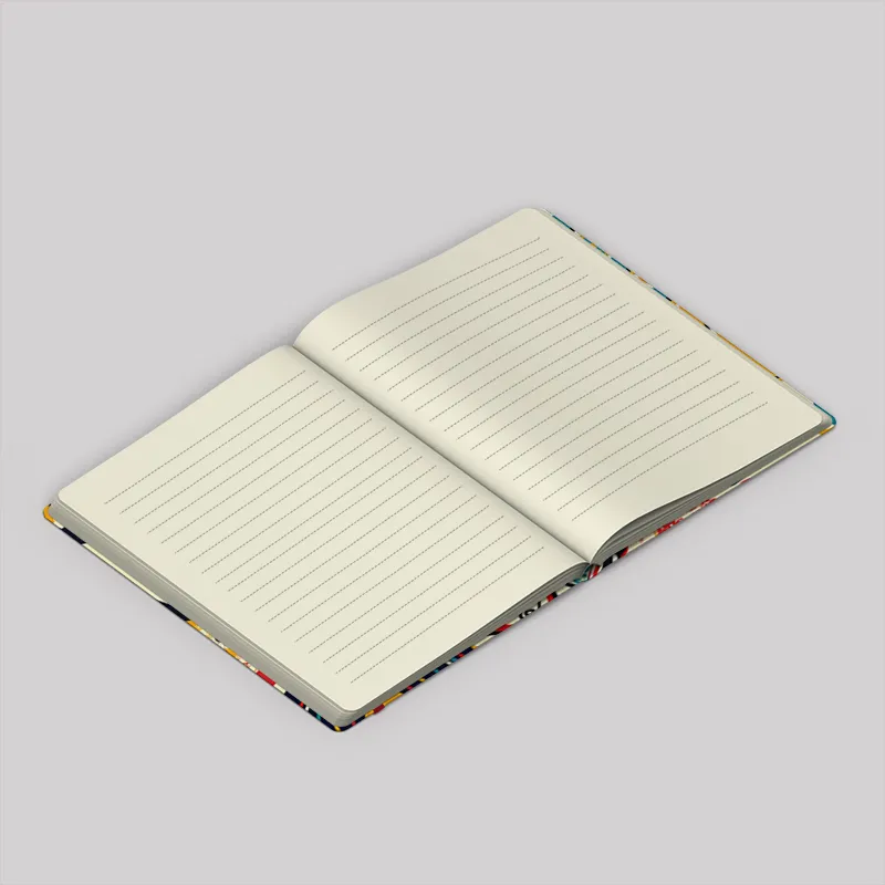 David Oddity Notebook