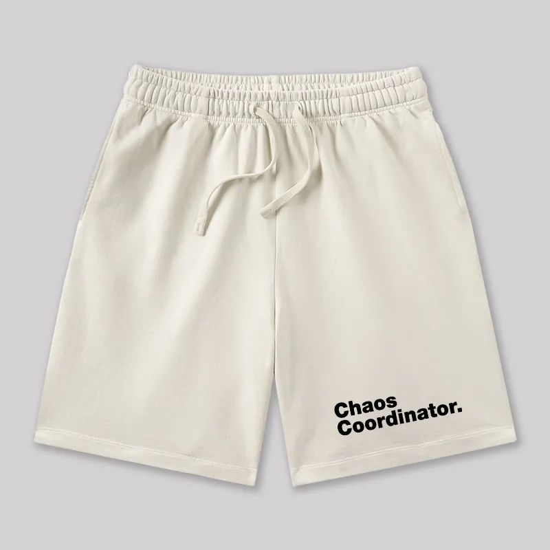 Chaos Coordinator Geeky Washed Shorts - Image 4