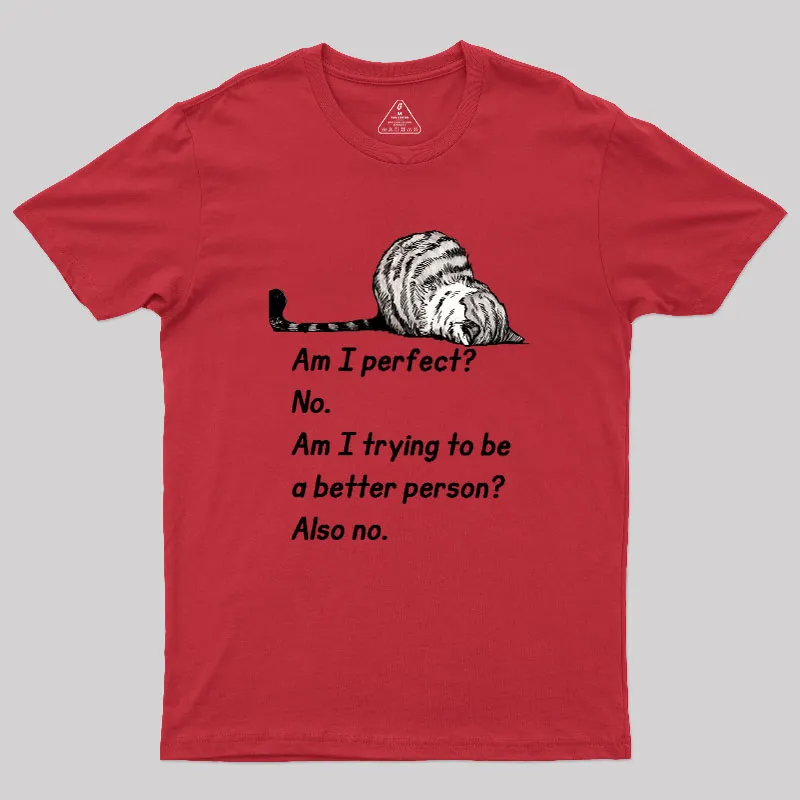 Am I Perfect No Geek T-Shirt - Image 3