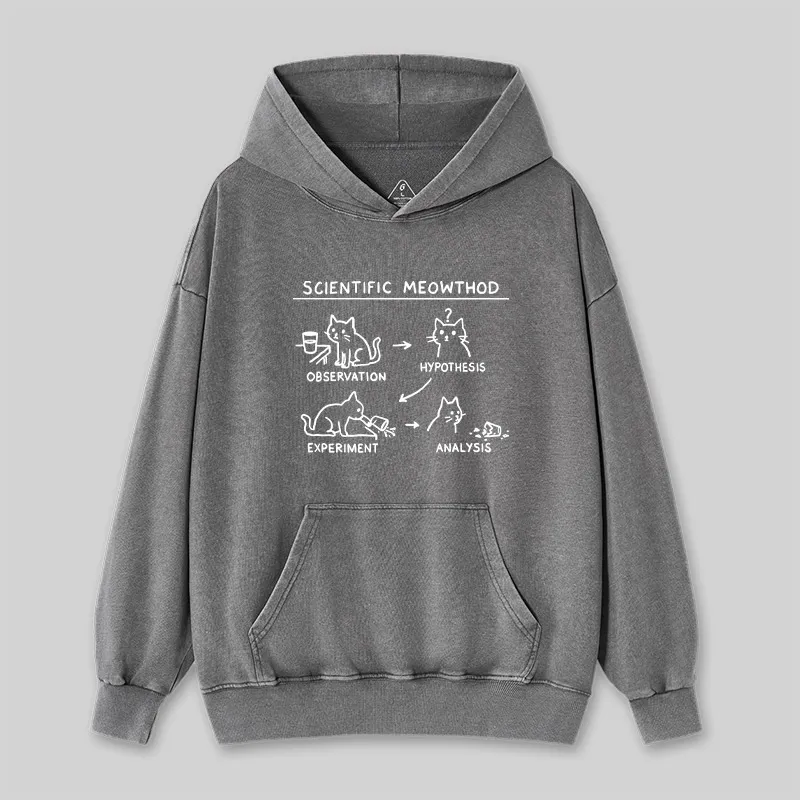 Alternative view of Scientific Meowthod Washed Hoodie