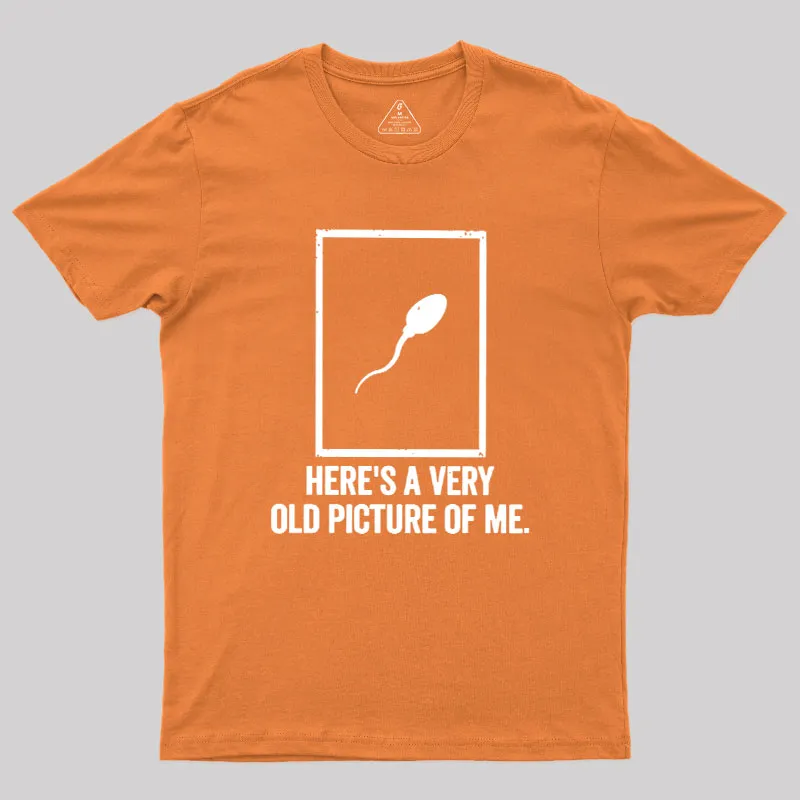 Here's A Very Old Picture Of Me Geek T-Shirt - Image 6