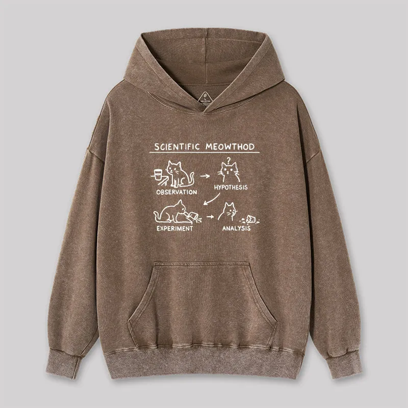 Scientific Meowthod Washed Hoodie - Image 3