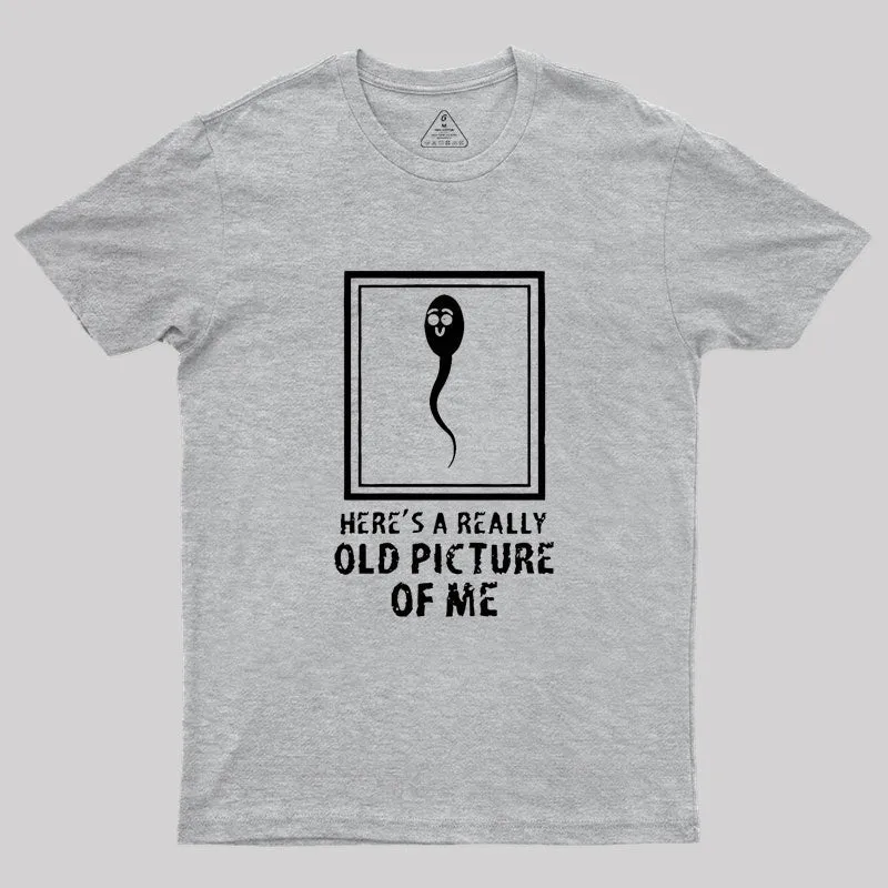 Here's A Really Old Picture Of Me Geek T-Shirt - Image 4