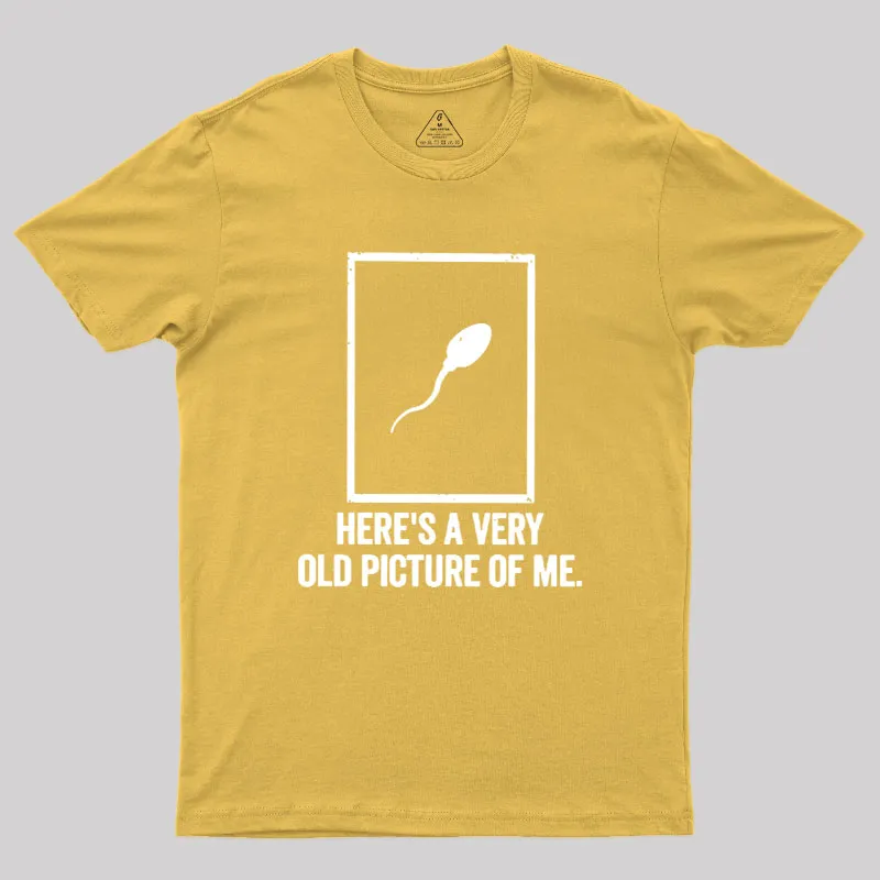 Here's A Very Old Picture Of Me Geek T-Shirt - Image 7