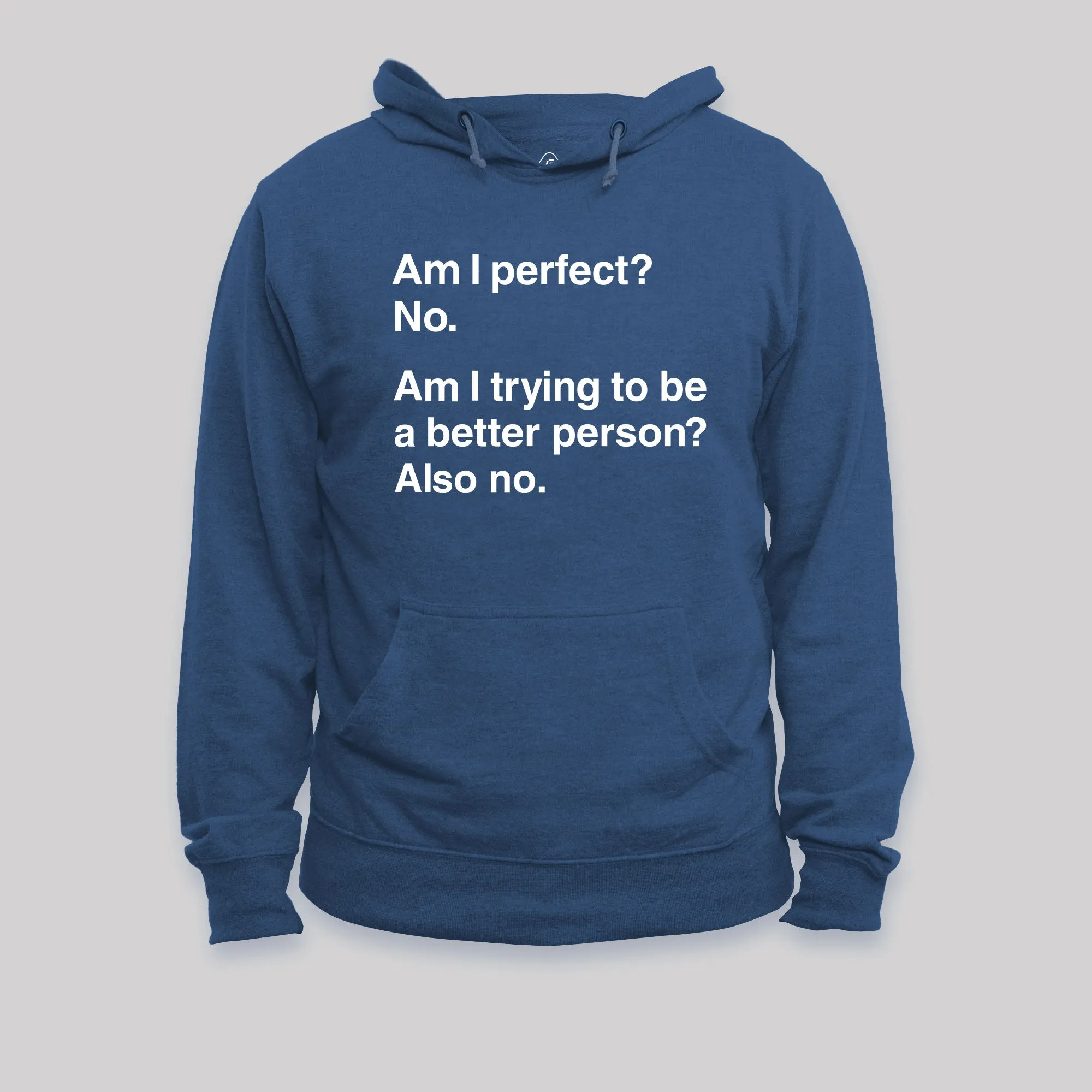Am I Perfect No Geek Hoodie