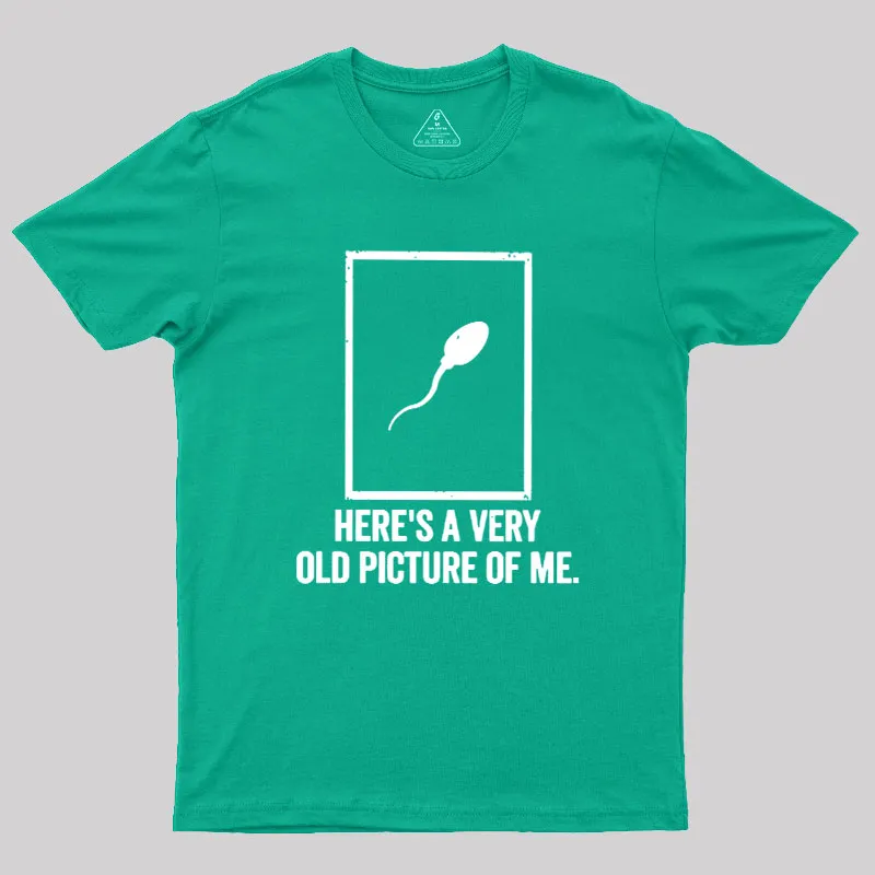 Here's A Very Old Picture Of Me Geek T-Shirt - Image 8