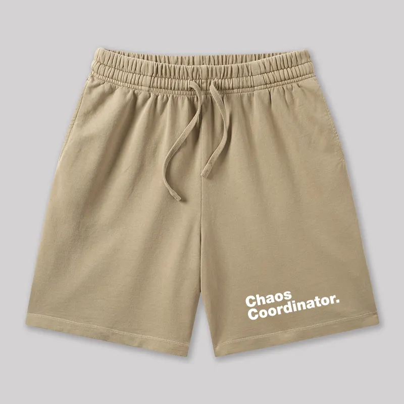 Chaos Coordinator Geeky Washed Shorts - Image 8