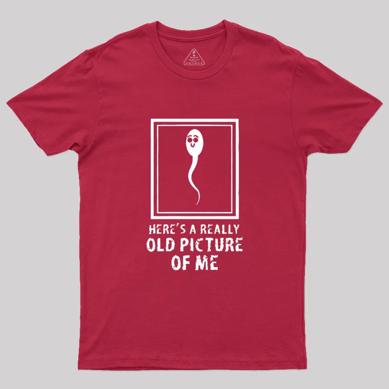 Here's A Really Old Picture Of Me Geek T-Shirt - Image 5