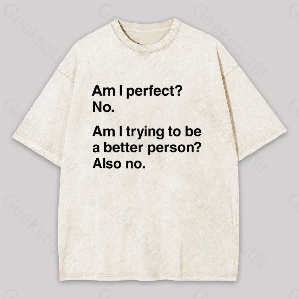 Am I Perfect No Washed T-shirt - Image 9