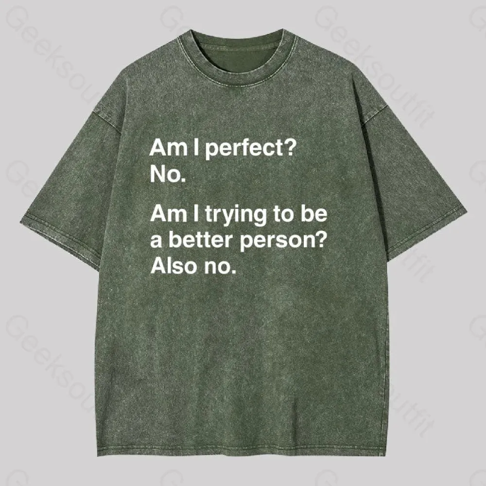 Am I Perfect No Washed T-shirt - Image 4