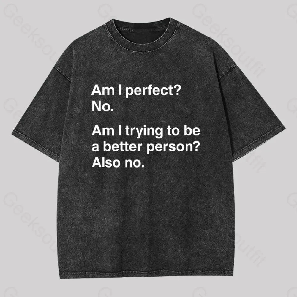 Am I Perfect No Washed T-shirt - Image 2