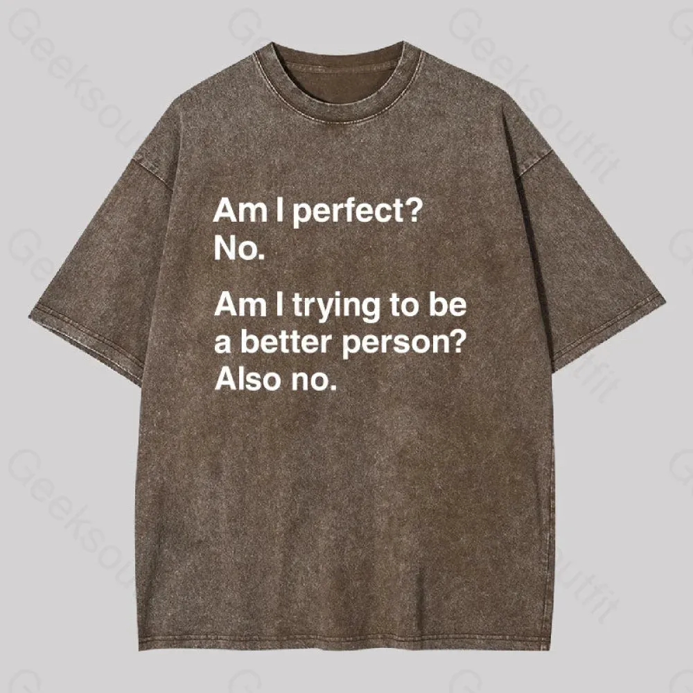 Am I Perfect No Washed T-shirt - Image 5