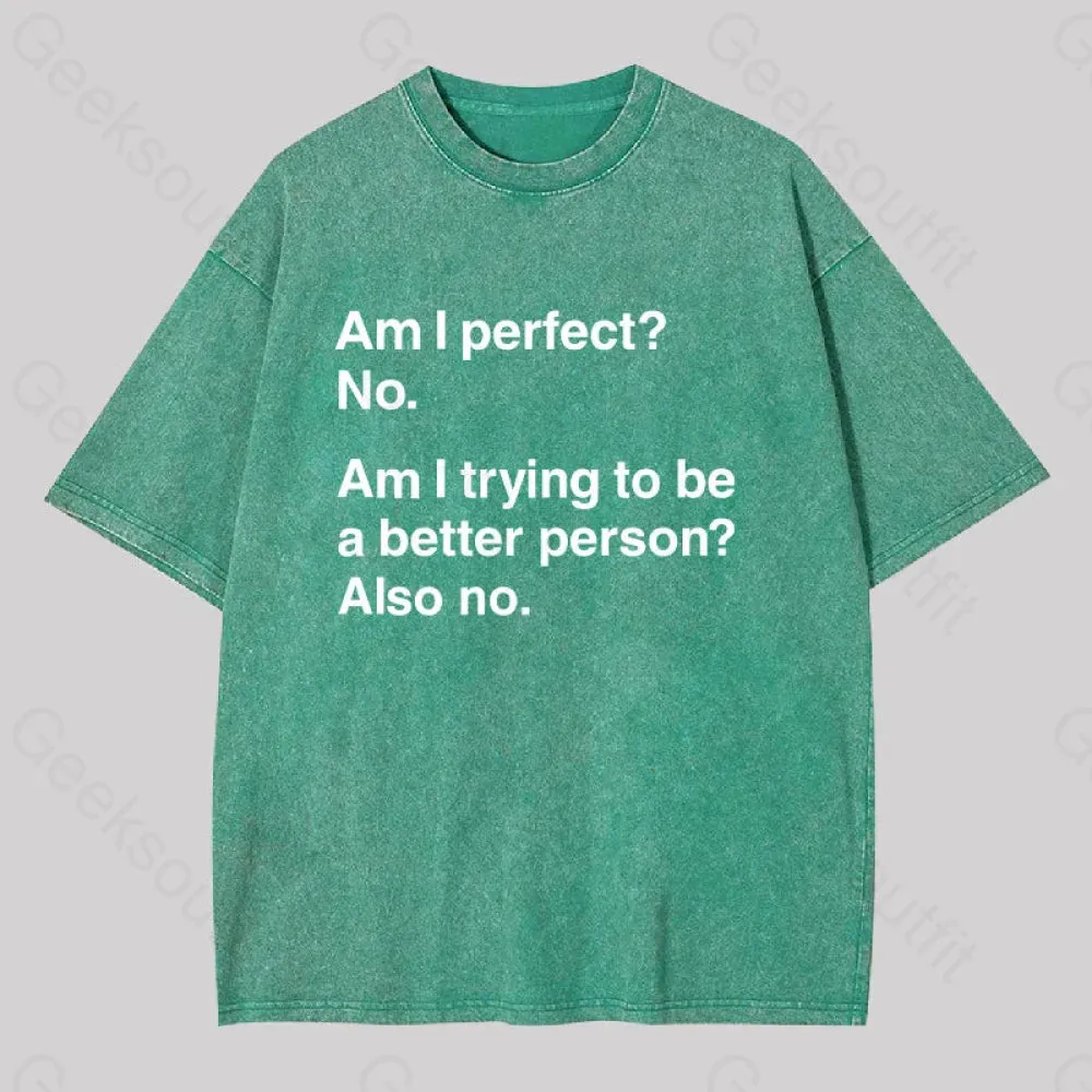 Am I Perfect No Washed T-shirt - Image 3