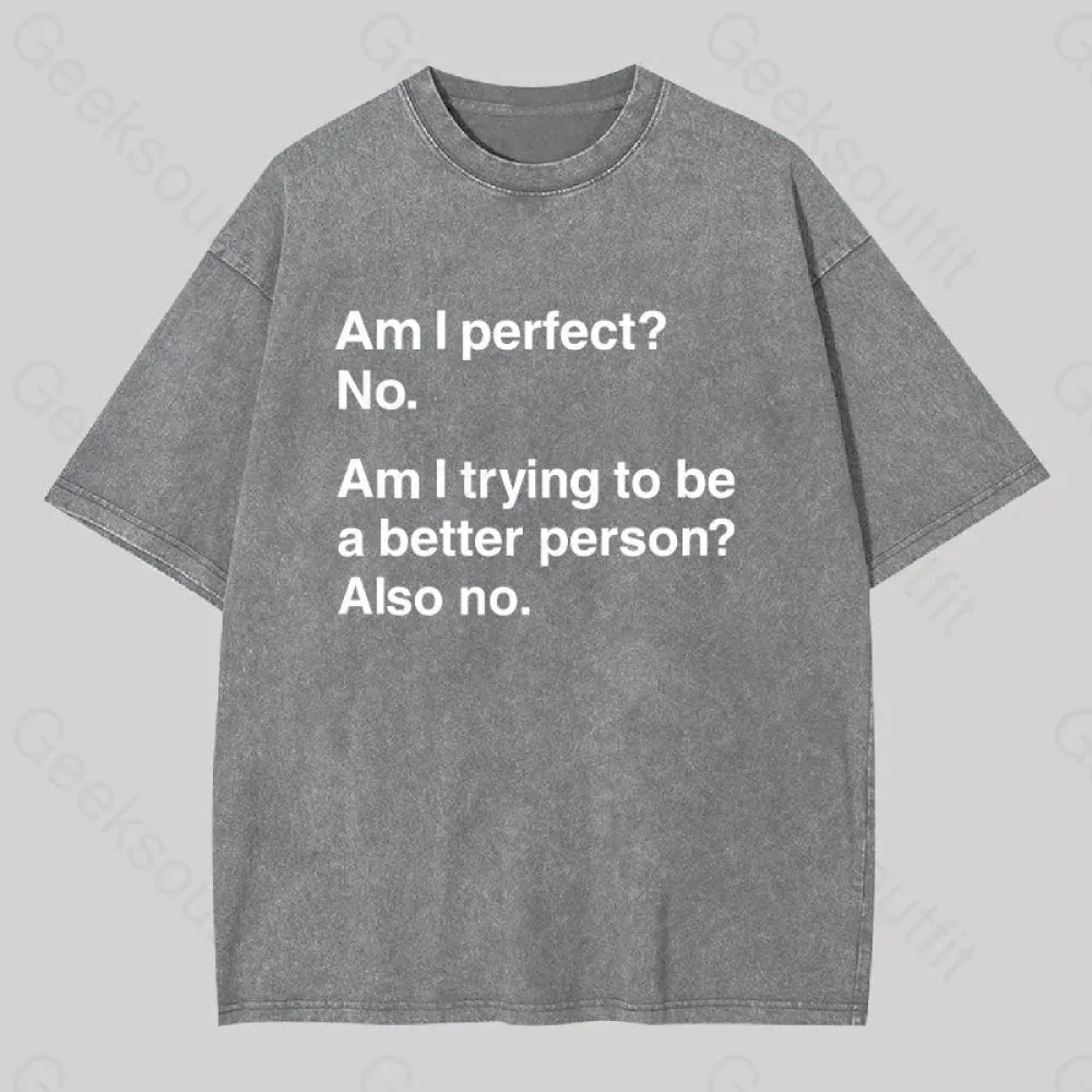 Am I Perfect No Washed T-shirt - Image 8