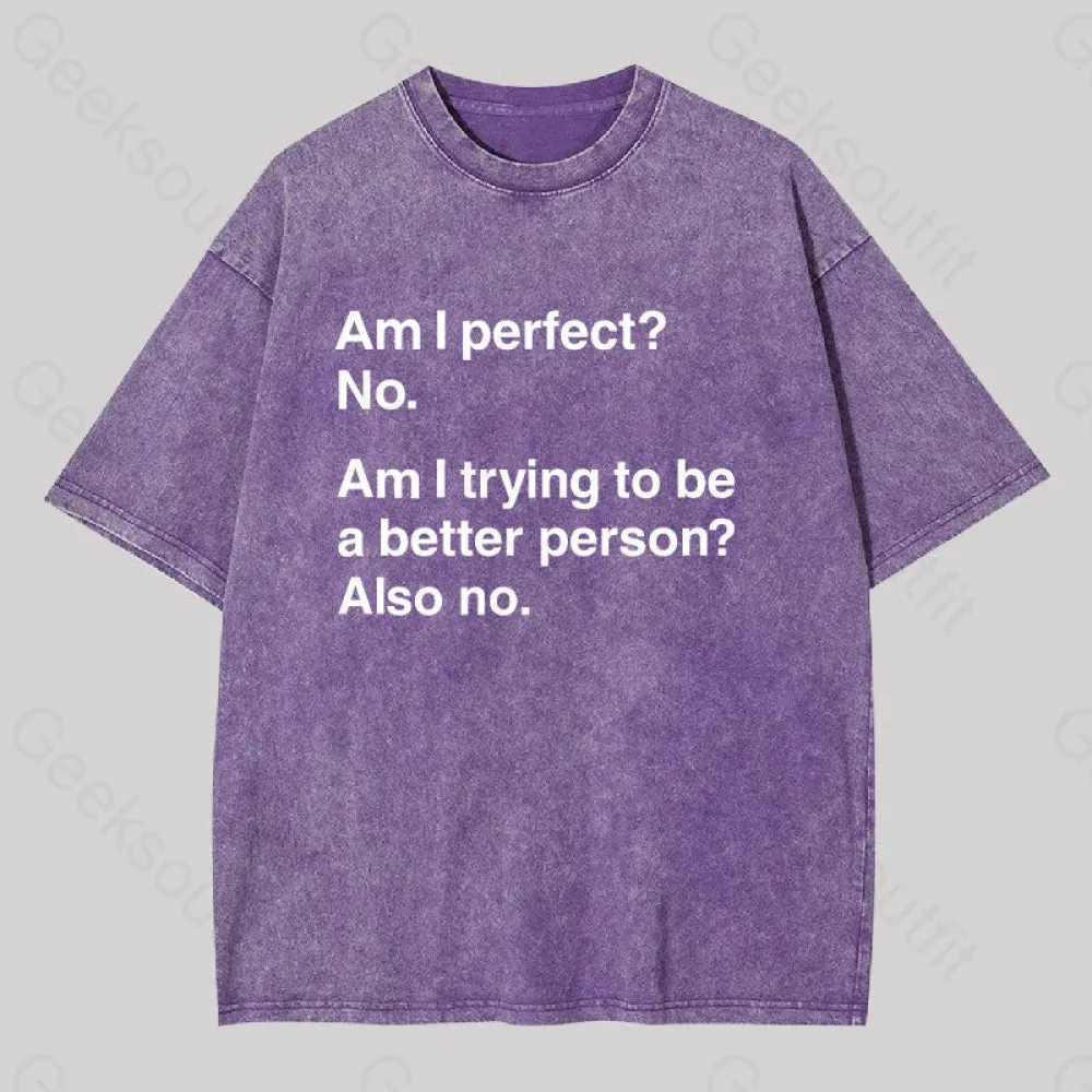 Am I Perfect No Washed T-shirt - Image 6