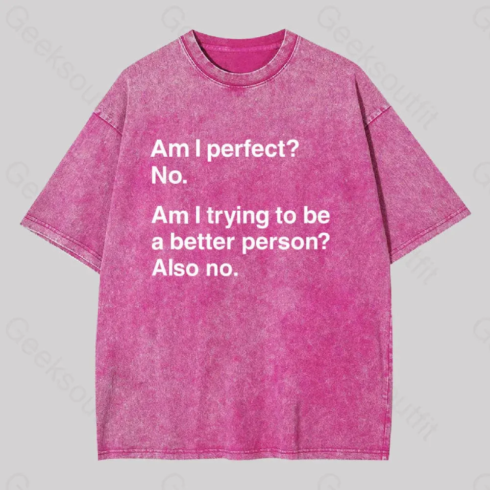 Am I Perfect No Washed T-shirt - Image 7