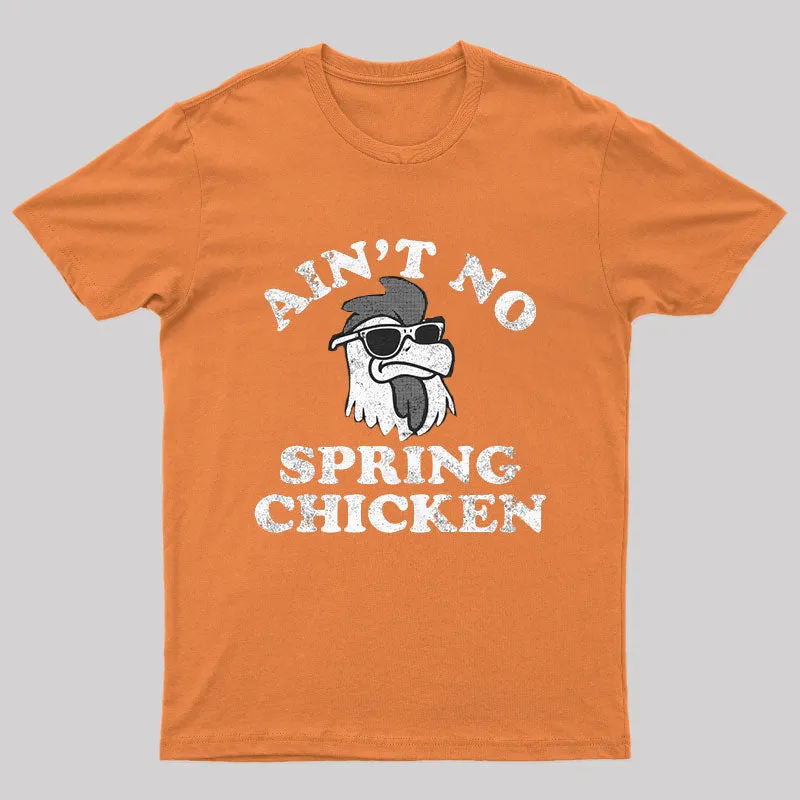 Ain't No Spring Chicken Nerd T-Shirt - Image 9