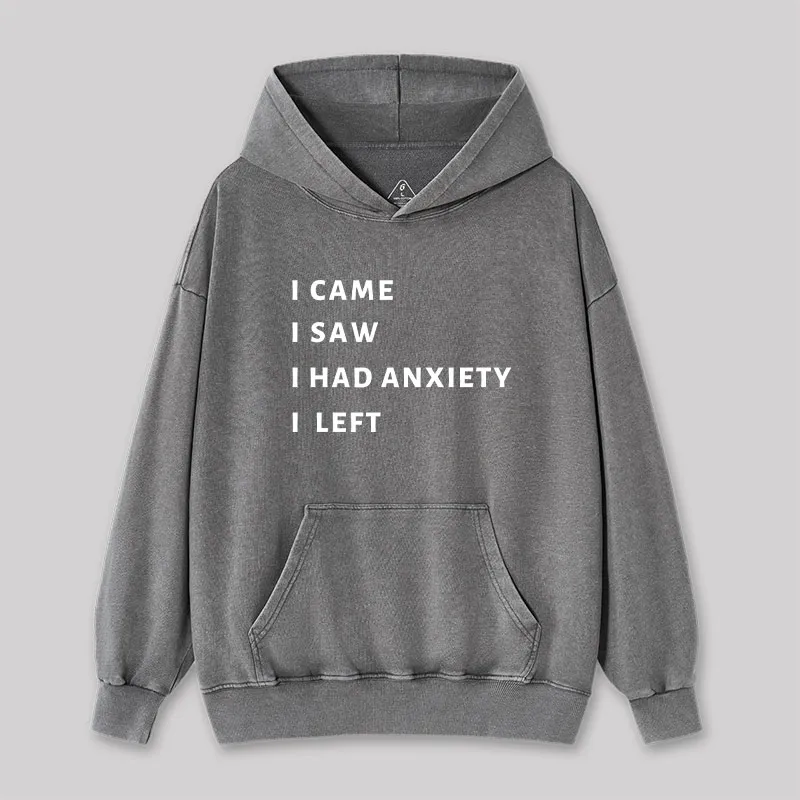 Alternative view of I Came I Saw Washed Hoodie