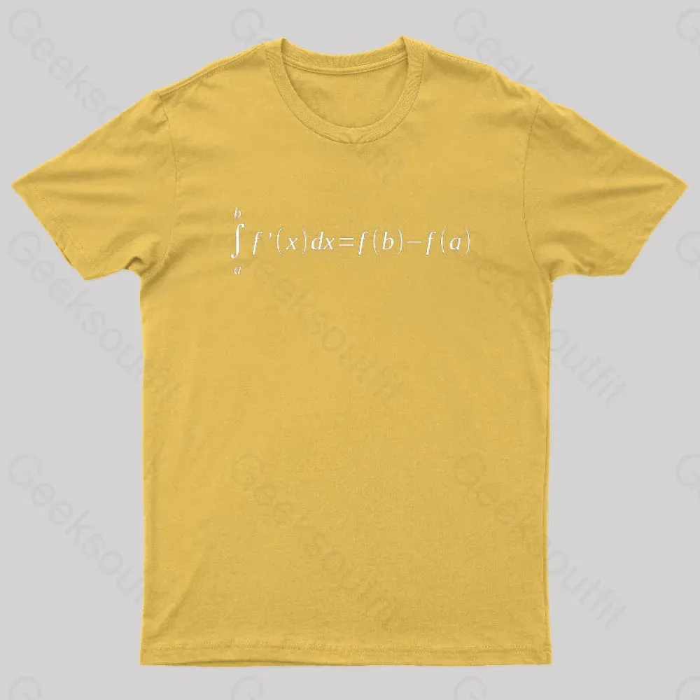 Fundamental Theorem Of Calculus Math Geek T-Shirt - Image 7