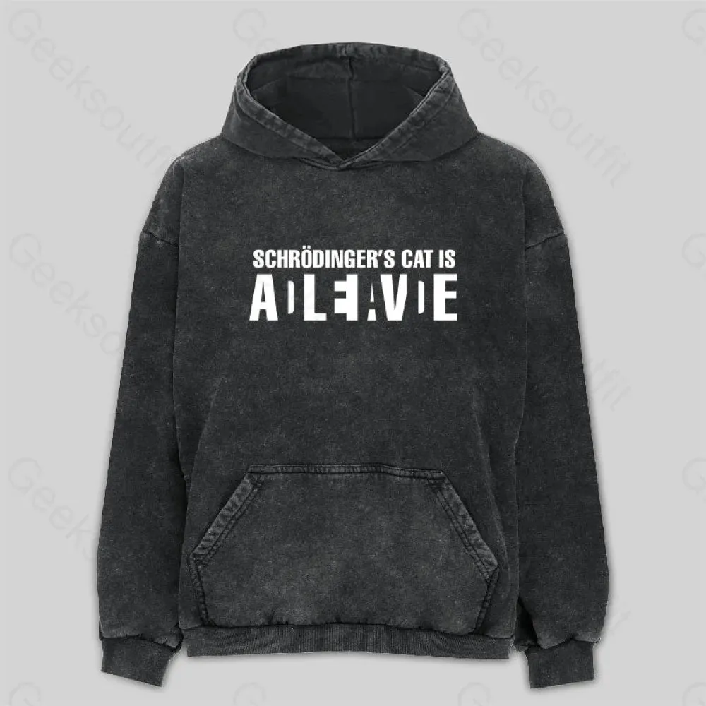 Schr?dinger's Cat ADLEIAVDE Washed Hoodie