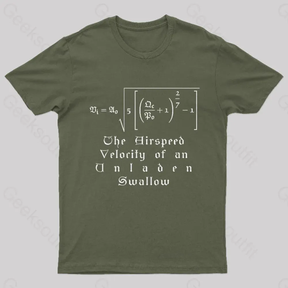 The Airspeed Velocity of an Unladen Swallow Nerd T-Shirt - Image 2