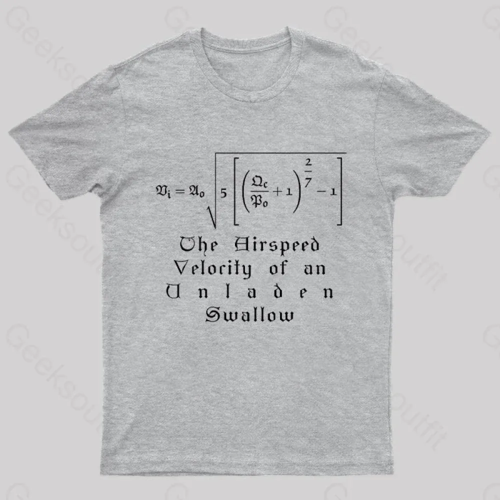 The Airspeed Velocity of an Unladen Swallow Nerd T-Shirt - Image 10